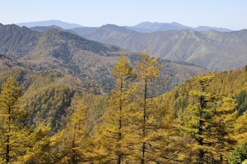 奥秩父山塊 紅葉の山並み