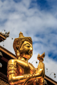 Golden buddha in Wat Pa Daraphirom Temple (Mae Rim) Chiang Mai,Thailand
