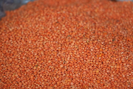 Lentils are rich in complex carbohydrates, a nutrient that boosts the metabolism, helps the body to burn fat and they are an excellent source of fiber, which can help reduce cholesterol levels.