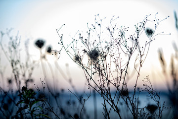 Jesień © patryk77