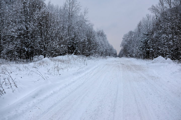 Landscape with the image of a winter road