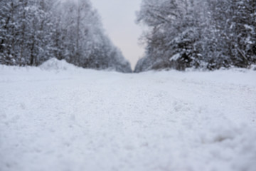 Landscape with the image of a winter road