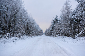 Landscape with the image of a winter road