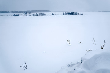 The image of a winter field