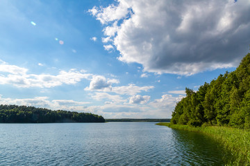 ein See umgeben von Wald im Sommer