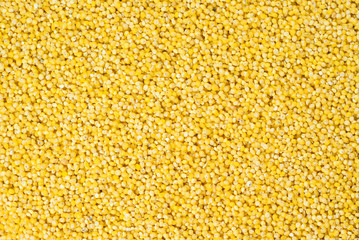 background, texture - pearl millet groats