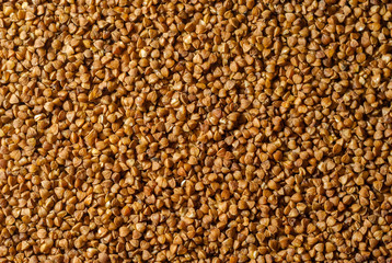 background, texture - buckwheat groats