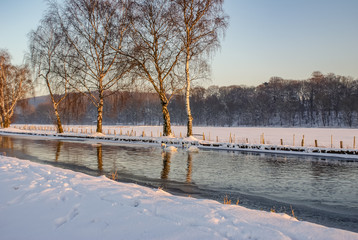 Ein Schwanenpaar das auf einem Fluss schwimmt. Mitten in einer wundervollen Schneelandschaft