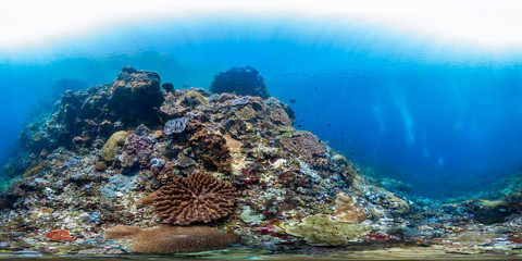 360 of coral on reef in Indonesia