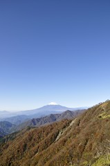 Fototapeta na wymiar 青空と富士山と丹沢の紅葉