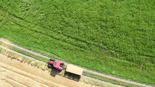Farmer in tractor with trailer transporting harvest wheat corn top down aerial view