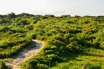 Obraz premium Morro na Ilha do Mel