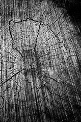 Fototapeta premium Black grunge weathered wooden texture. Abstract background