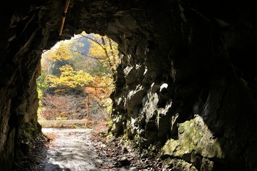 Plakat 素掘りのトンネル