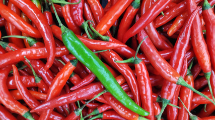 Outstanding green pepper