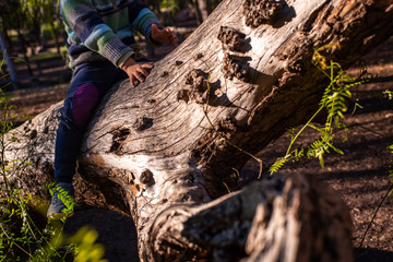 Child sitting on a large fallen trunk ideal for playing outdoors.