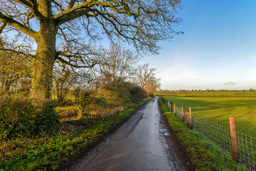 Fototapeta na wymiar A road through rural Northamptonshire