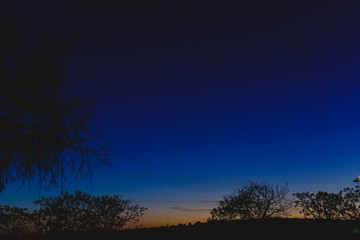 Fototapeta na wymiar Sky background at dusk with silhouettes of trees and horizon.