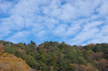 秋の空と山
