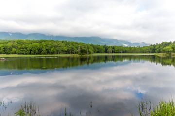 Fototapeta premium 知床五湖 二湖 世界遺産 北海道