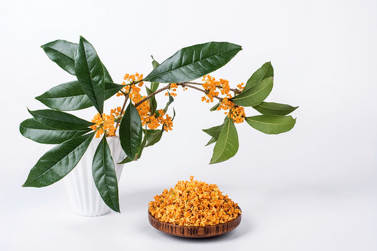 Fresh golden osmanthus