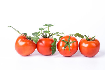 Fresh tomatoes with leaves