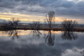 Views of Josh’s Pond walking path, Reflecting Sunset in Broomfield Colorado surrounded by Cattails, plains and Rocky mountain landscape during sunset. United States.