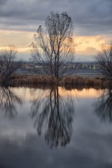 Views of Josh’s Pond walking path, Reflecting Sunset in Broomfield Colorado surrounded by Cattails, plains and Rocky mountain landscape during sunset. United States.