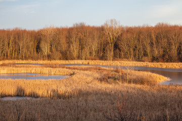 Autumn Landscape Wetlands