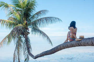 Fototapeta premium woman in bikini enjoy the seabeach by sitting onto the laying of coconut plam tree over the sea water in daylight