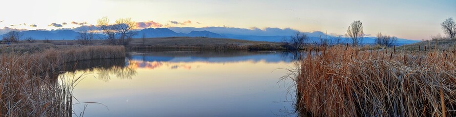 Views of Josh’s Pond walking path, Reflecting Sunset in Broomfield Colorado surrounded by Cattails, plains and Rocky mountain landscape during sunset. United States.