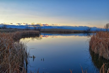 Views of Josh’s Pond walking path, Reflecting Sunset in Broomfield Colorado surrounded by Cattails, plains and Rocky mountain landscape during sunset. United States.