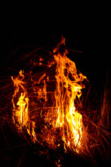 Flame pattern at night
