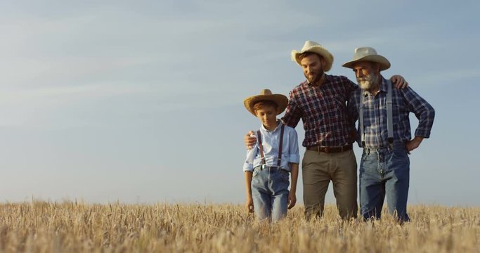 Portrait shot of the little boy stepping the wheat margin in a harvest time of a summer together with his father and grandfather.