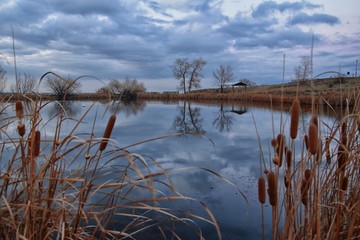Views of Josh’s Pond walking path, Reflecting Sunset in Broomfield Colorado surrounded by Cattails, plains and Rocky mountain landscape during sunset. United States.