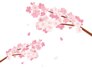 桜　イラスト © よこてさとめ
