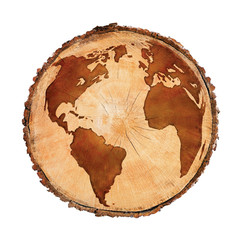 World map of globe showing north america and south america on a round cut tree