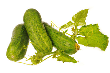 Cucumbers with leaves on a white background. Isolated on white 