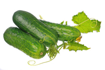Cucumbers with leaves on a white background. Isolated on white 