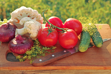 Various appetizing vegetables on the kitchen board. Close-up. 