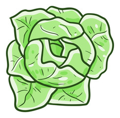 Funy and cute light green cabbage for your cooking activity - vector