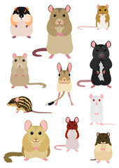 collection of mice breeds