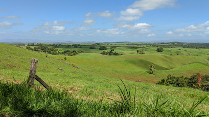 Lush rolling green pastures