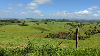 Lush rolling green pastures
