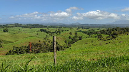 Lush rolling green pastures