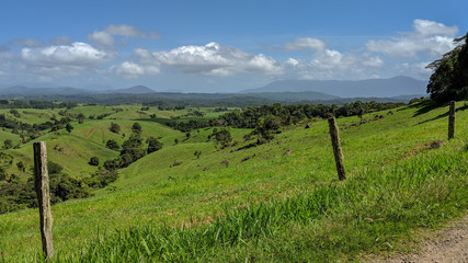 Lush rolling green pastures