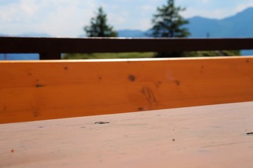 Konstruktion mit Holz