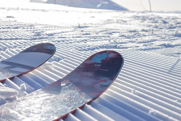 The tips of the skis on the fresh Velvet ski slopes. Alpine skiing freeride in Rosa Khutor