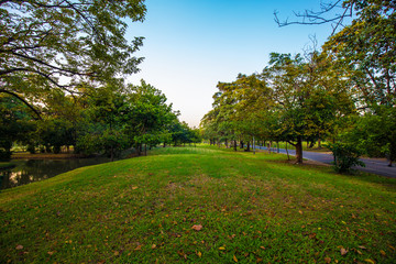 Fototapeta na wymiar Sunset at city public park colorful sky green field