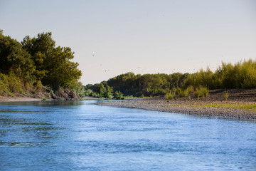 Sacramento River